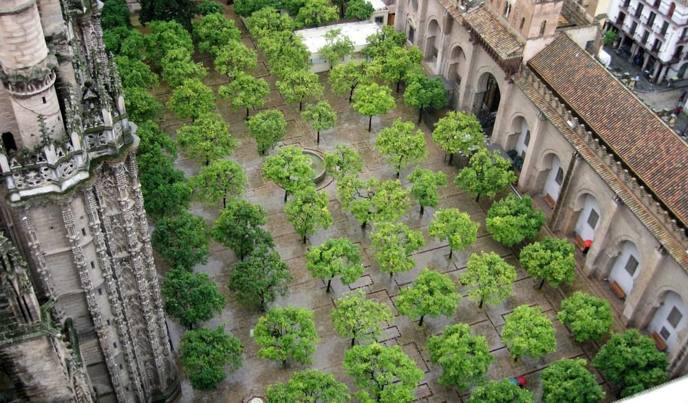 Patio de los Naranjos en Sevilla