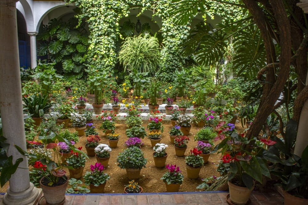 Patio Casa Barrio Santa Cruz