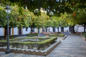 Visita Guiada Barrio Santa Cruz