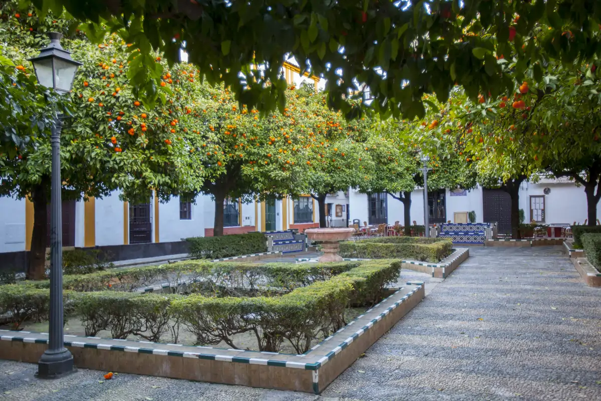 Visita Guiada Barrio Santa Cruz