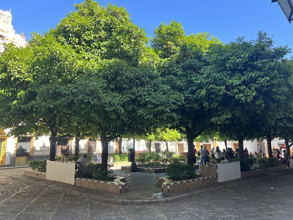 Plaza de Doña Elvira